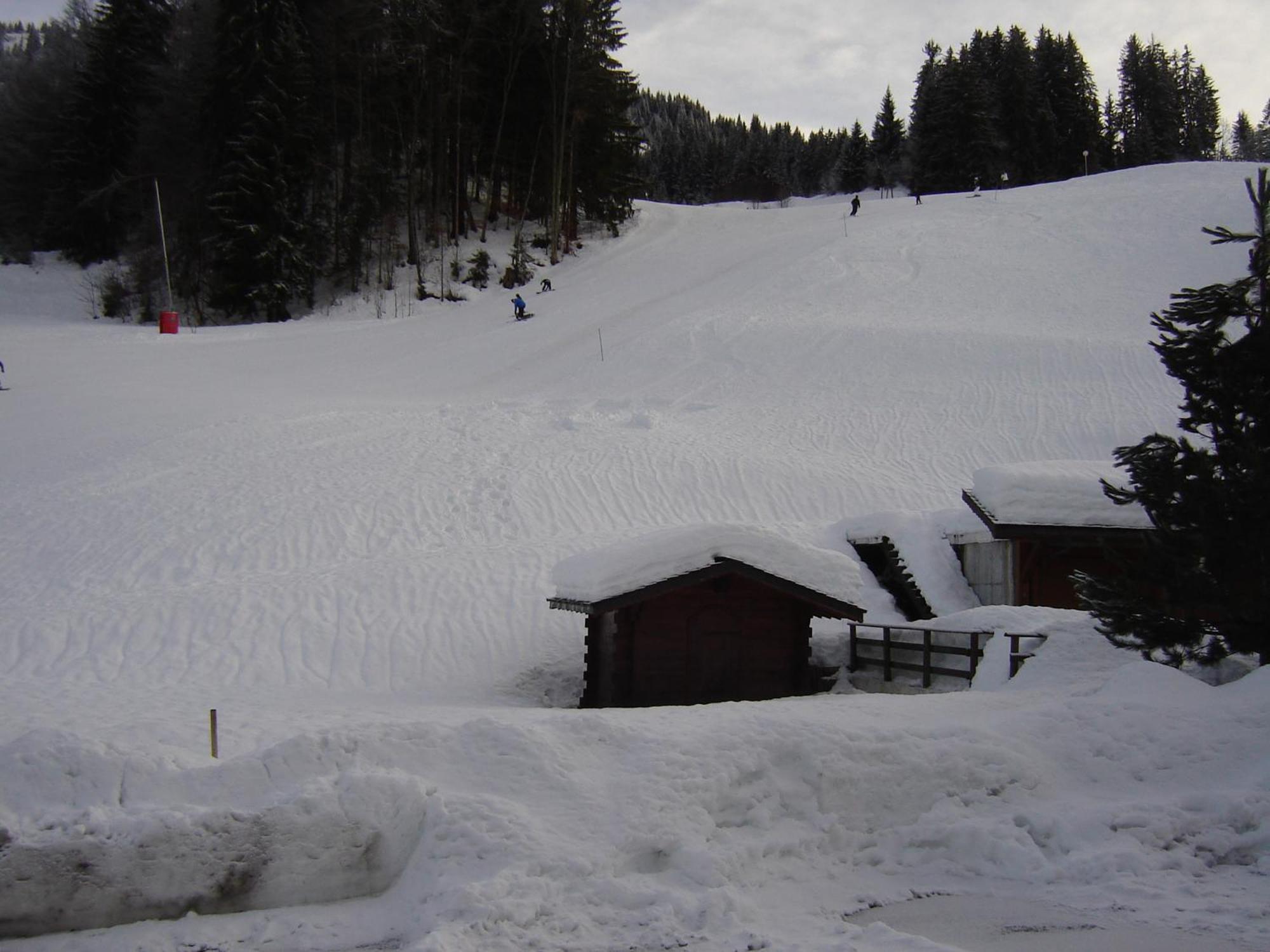 Hotel Les Bernards Praz-sur-Arly Eksteriør bilde