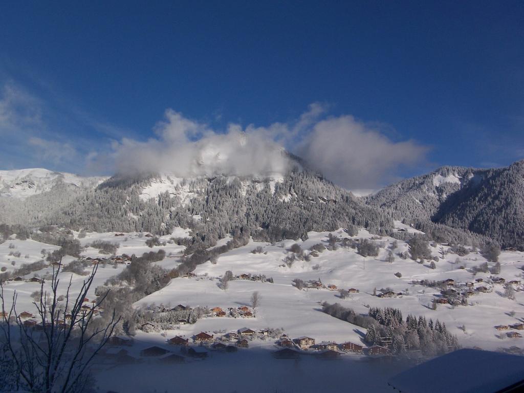 Hotel Les Bernards Praz-sur-Arly Eksteriør bilde